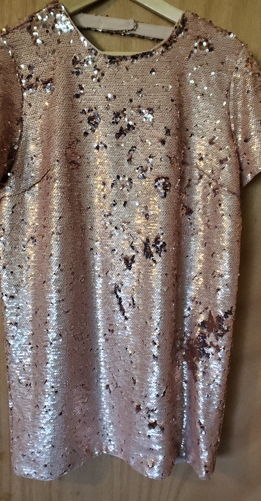 Sequenced Dress